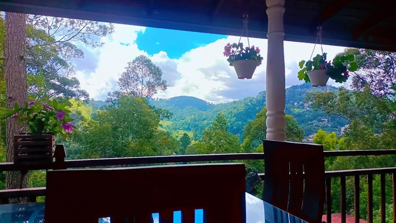 Ella Hillsite View Hotell Rum bild